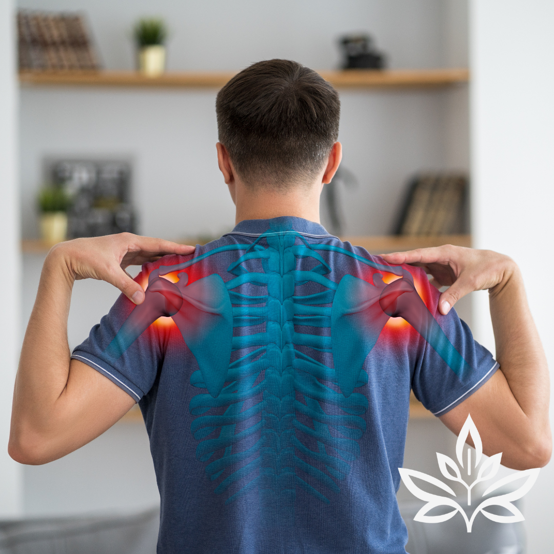 Shoulder Joint Mobilization