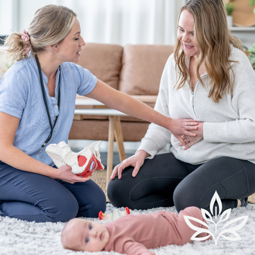Pelvic Organ Prolapse Support