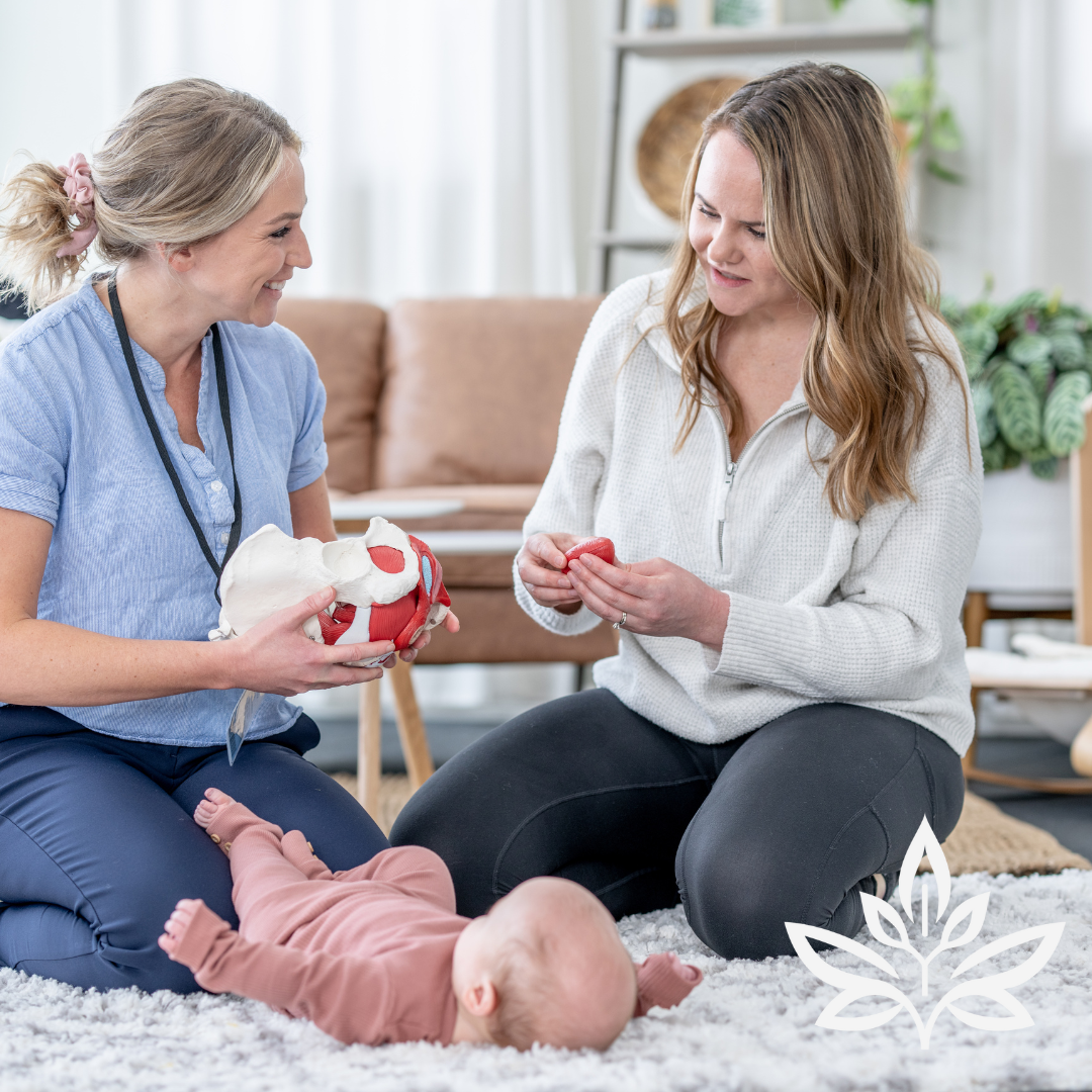 Pre-Natal Pelvic support Care