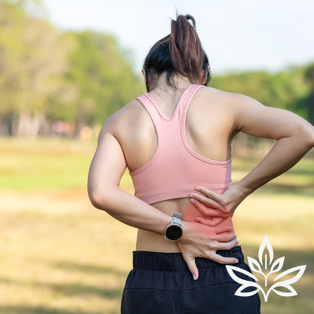 Back Pain Targeted Exercises