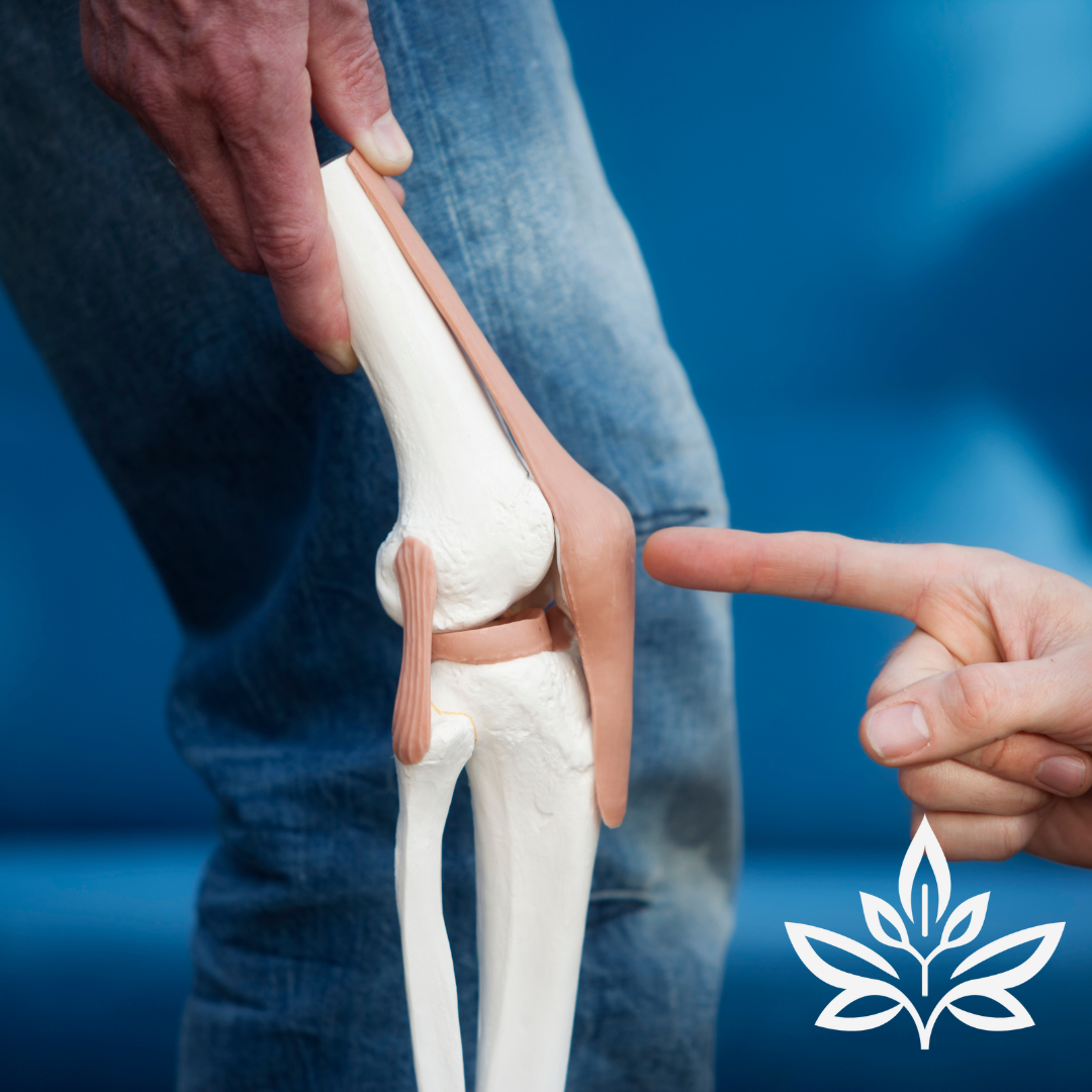 Joint Replacement Rehab